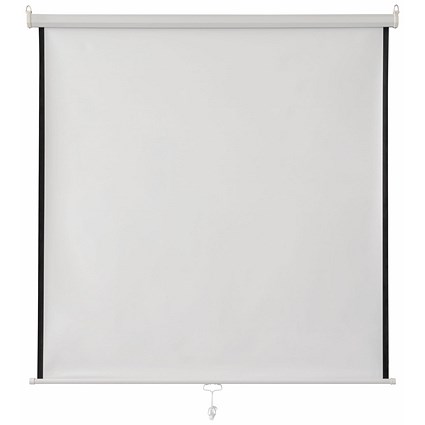 Wall/Ceiling Mounted Screens