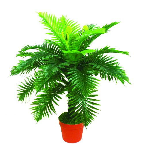 Artificial Plants