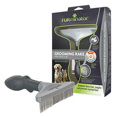 Pet Accessories