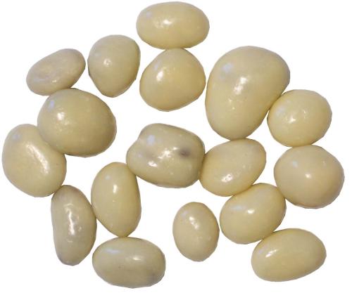 Carol Anne - Yoghurt Coated Raisins - 3kg