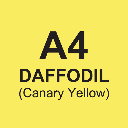 Papago Daffodil A4 80gsm [Pack 500]