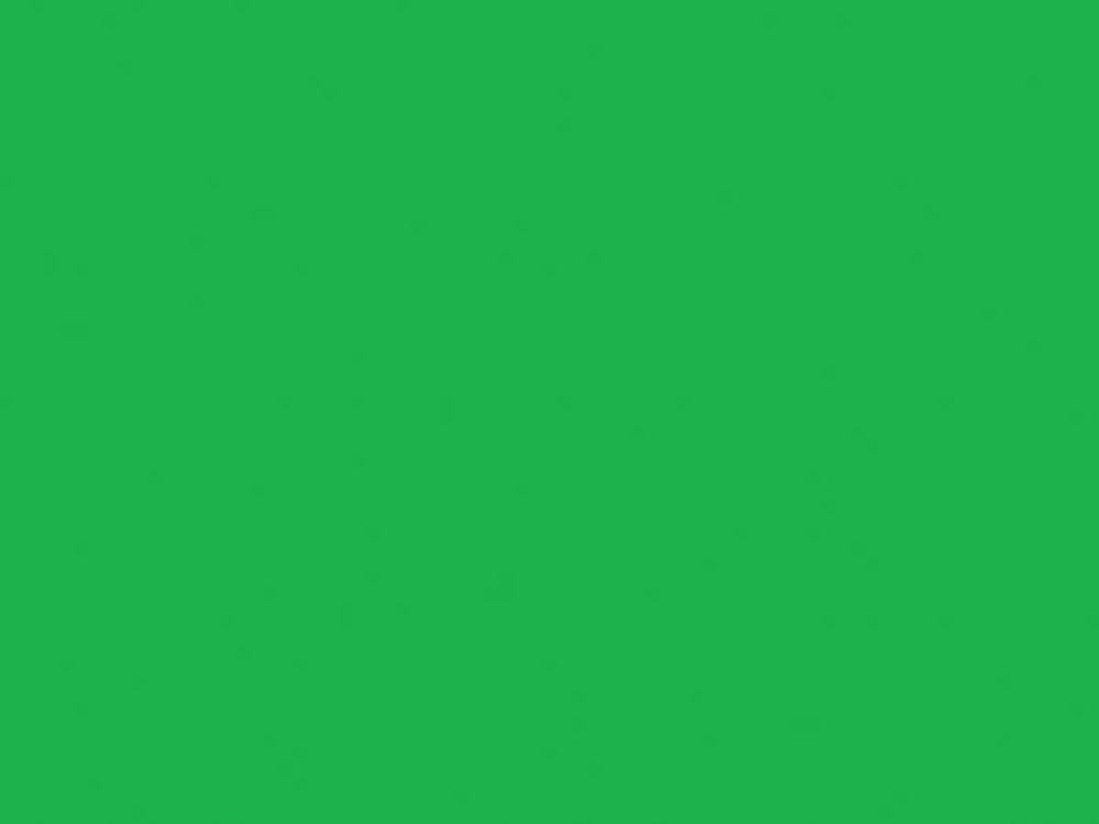 Duck Tape® 48mm x 13.7m Neon Green