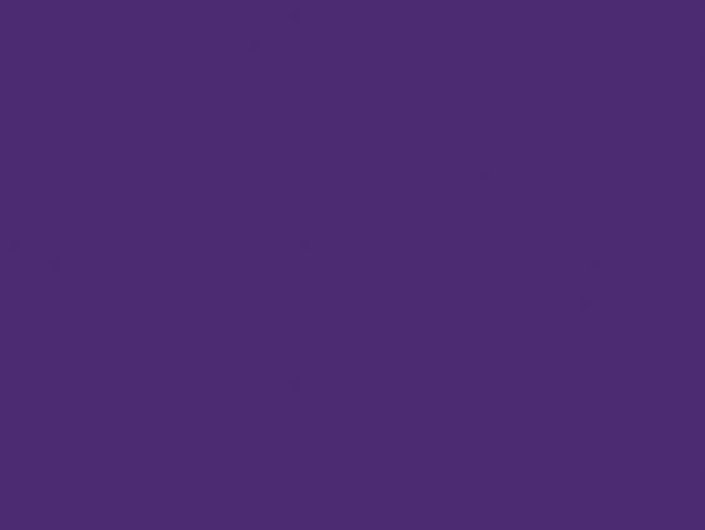 Duck Tape® 48mm x 18.2m Purple
