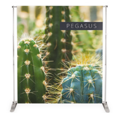 Replacement Graphics ONLY for Pegasus Tension Backdrop Banner Stand 2410 x 2435mm (per side)