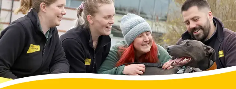 Welcome to your Dogstrust webstore