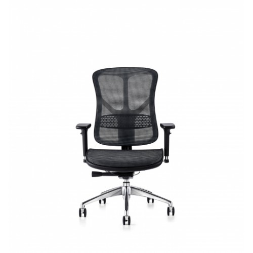 F94 101 Series Ergonomic Synchronised Mechanism Black Mesh Back & Seat Chair with 3D Adjustable Arms