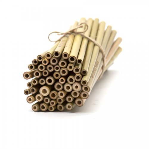 Bamboo Straws for Events - Pack of 100