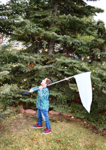 School Telescopic Sweep Net [Pack 1]