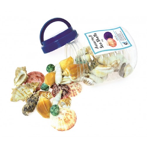 Bucket Of Shells