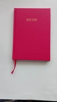 Academic Diary A4 Day A Page 2022-23 Deep Pink