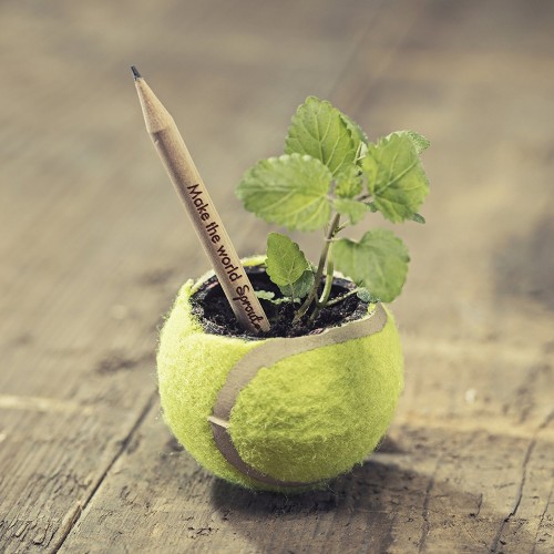 The Sprout Pencil Chili Knock Out Edition