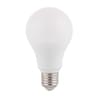 LED Light Bulbs
