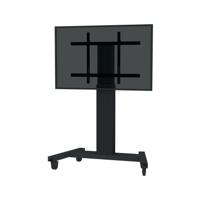 Projector Accessories