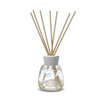 Air Fresheners & Refills
