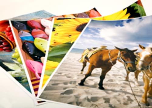 HP Matte Litho-Realistic Paper 270gsm 1524mm x 30.5m