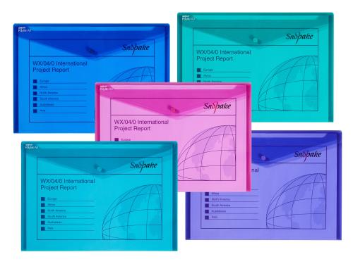 Snopake Electra Polyfiles A3 Assorted
