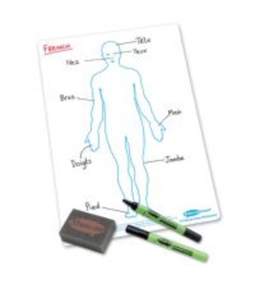 Show Me Drywipe Boards Human Body 650 Microns Classpack Of 35
