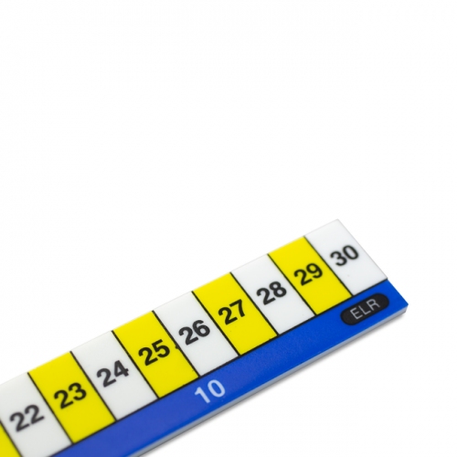 Plastic Early Learning Ruler 30cm ELR10