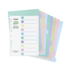 Snopake Reborn Ring Binder A4 Dividers 10 Part Assorted Pastel Tabs
