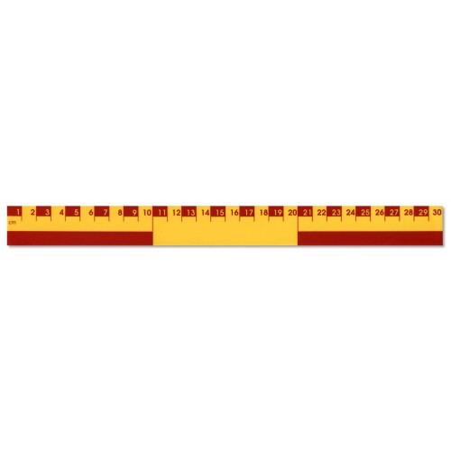 Recycled Plastic Early Learning Ruler 30cm