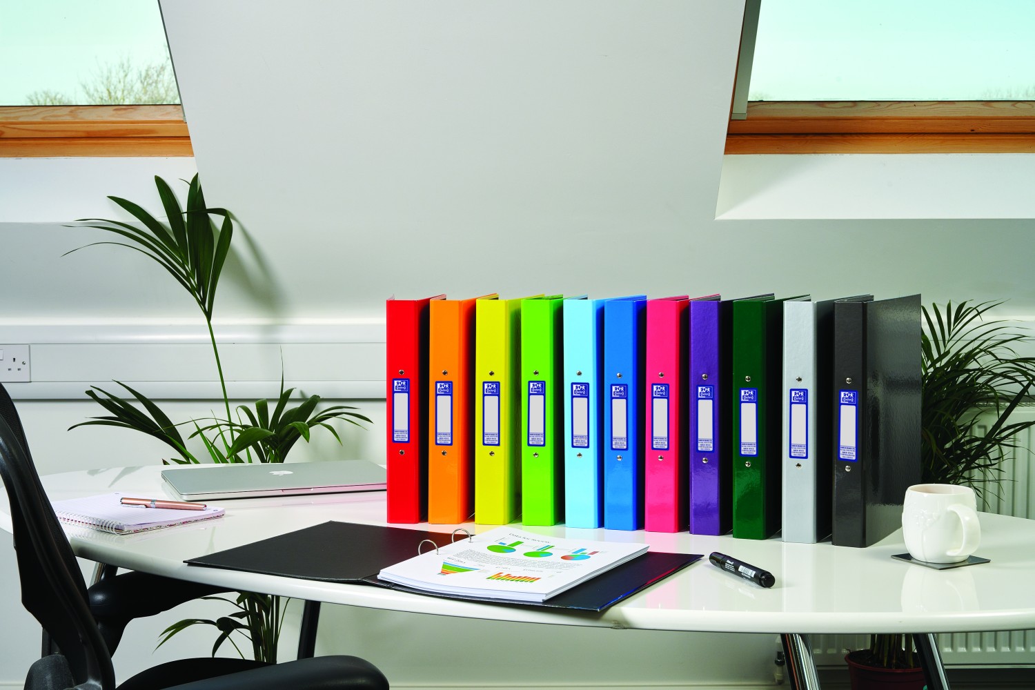 LIGHT GREEN - Oxford Laminated Ring Binder A4, 40mm Spine,