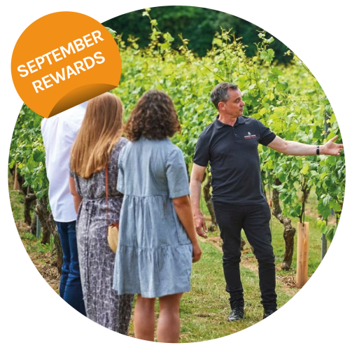Overnight Countryside Stay with Vineyard Tour & Wine Tasting