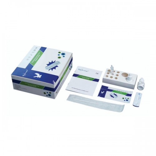 ANTIGEN