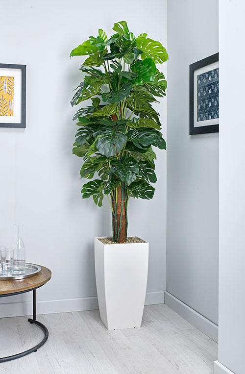 Cheese Plant Artificial Plant