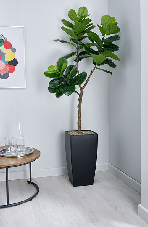 Fiddle Leaf Fig Artificial Plant