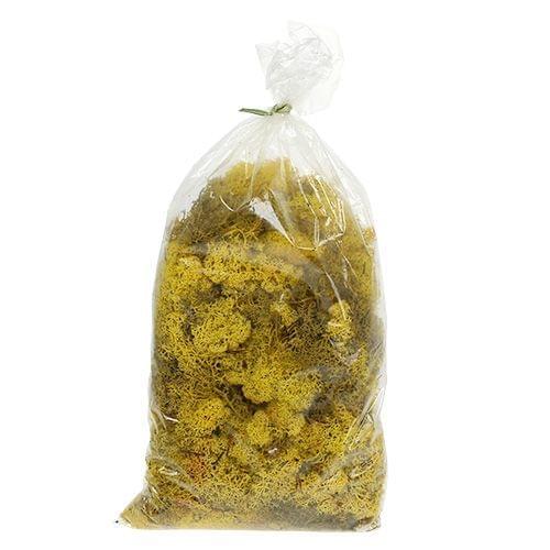 Polythene Bag 12x24" LLB (305x610mm) 1000/pack