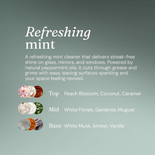 Miniml Window + Glass Cleaner Mint 750ml Bottle MIN400