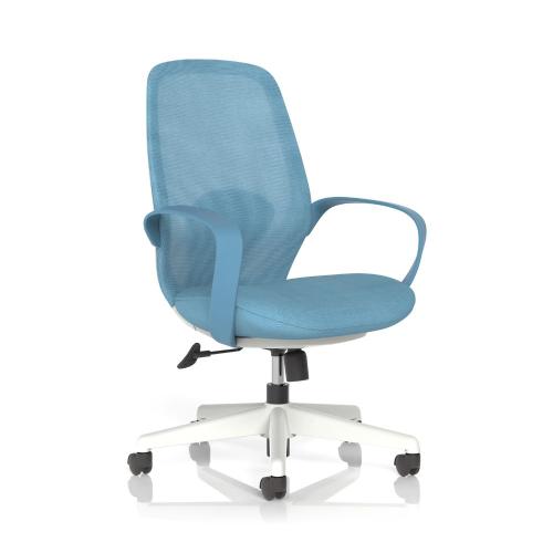 Ariel Mesh Office Chair with Fixed Arms