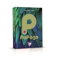 Box A4 Copier Paper 80gsm Pastel Green (5 reams 2,500 sheets)