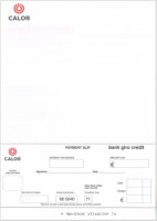 Statement Paper 30,000 sheets