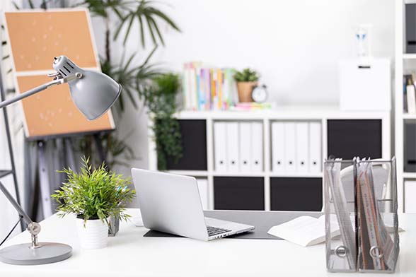 Office Essentials