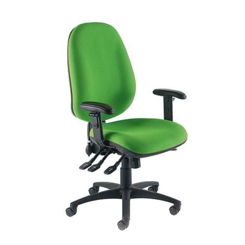 NEW Eco Posture Chair with Lumbar Support and Height adjustable arms