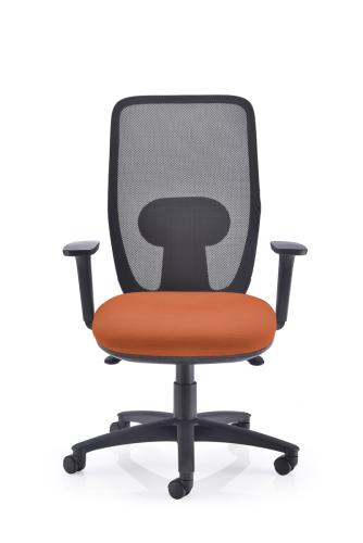 Aerix High back mesh task chair (Blizzard)