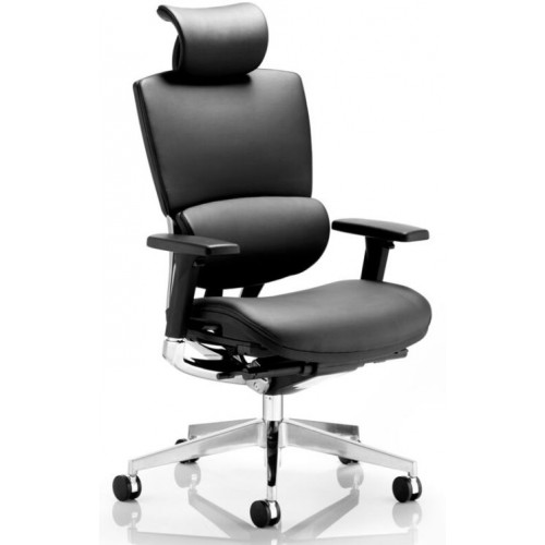 Alpha Premium Quality Multi-Functional Executive Task Chair