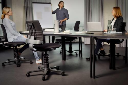 Aeris 3Dee Chair Standard