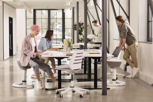 Aeris Swopper Ergonomic Office