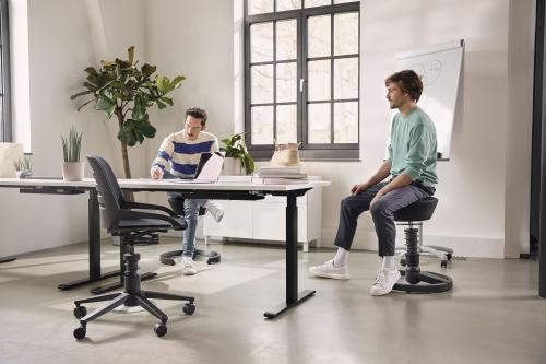 Aeris Swopper Ergonomic Office