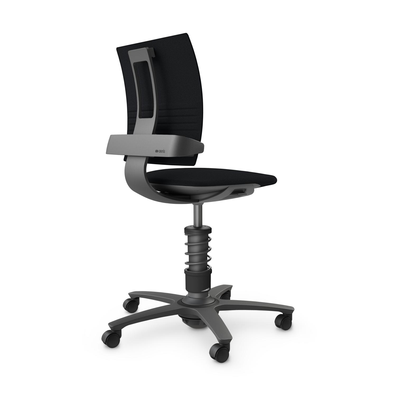 Aeris 3Dee Chair Standard