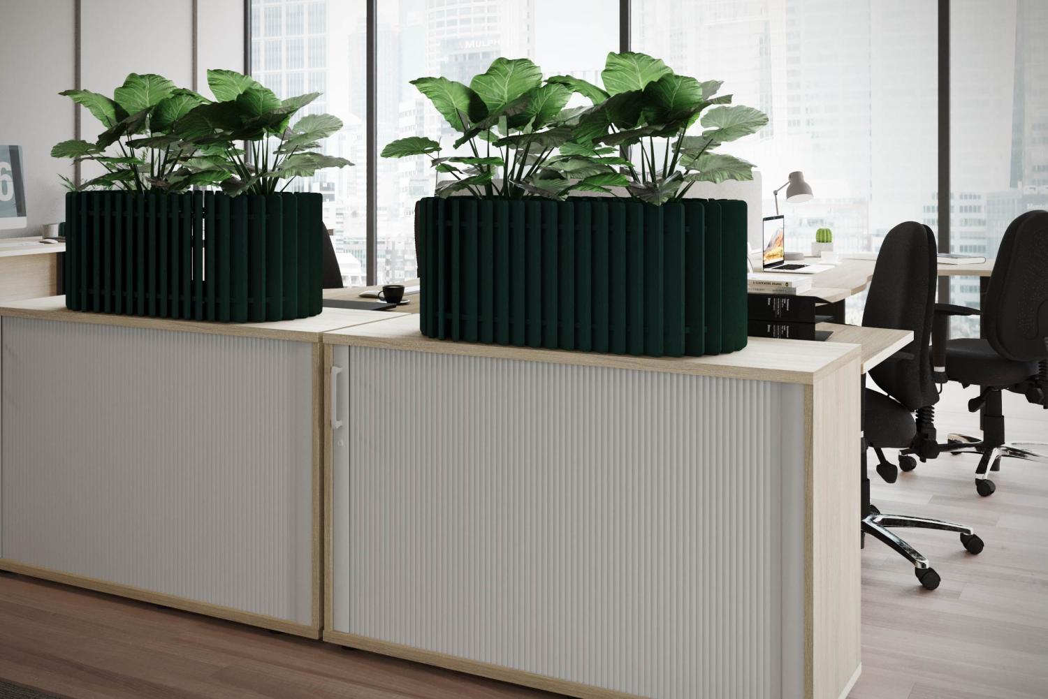 Koala Acoustic Counter Planter