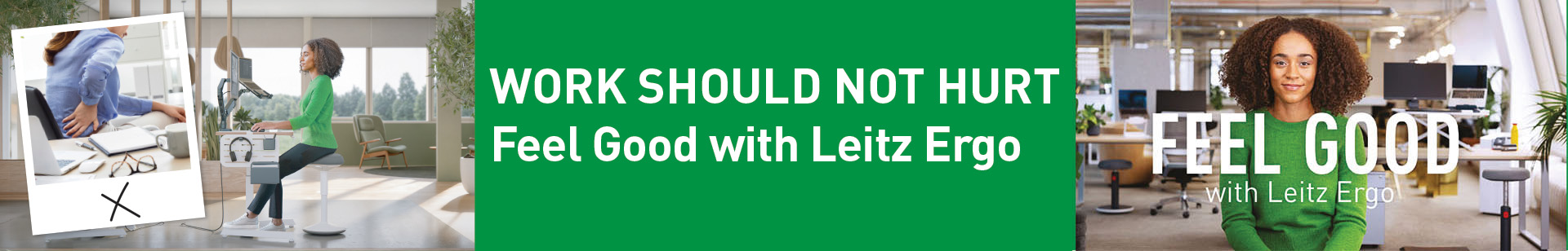 Leitz Ergo web banner