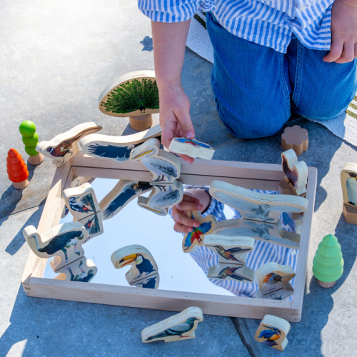 Wooden Bird Blocks