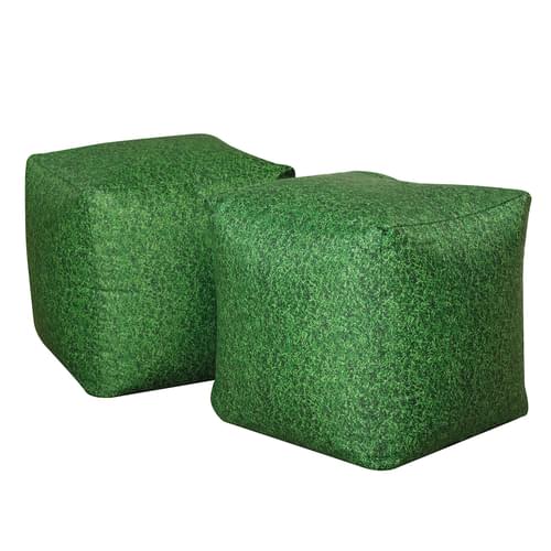 Learn About Nature Grass Bean Bag Cubes