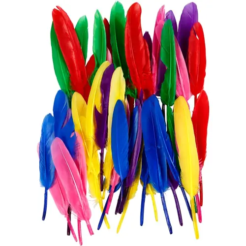 Coloured Feathers 13cm
