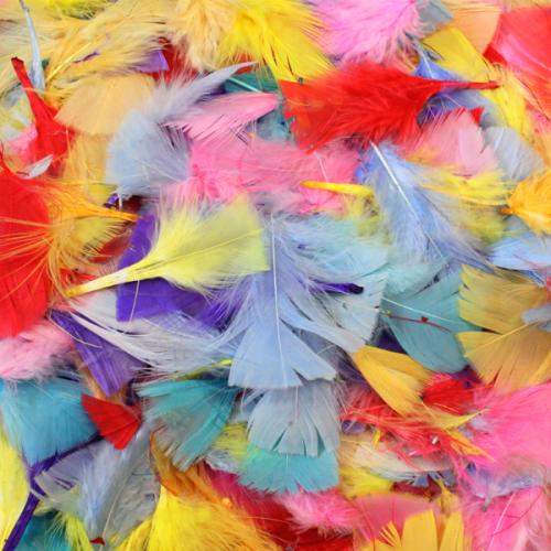 Coloured Feather Assortment 50g Bag