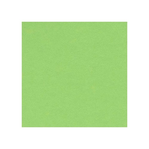 Canford Paper A1 Apple (402275211) 150gsm Single sheet