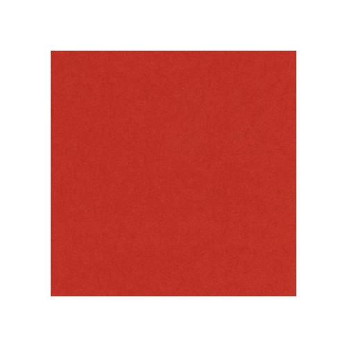 Canford Card A1 Bright Red 300gsm (402850007)